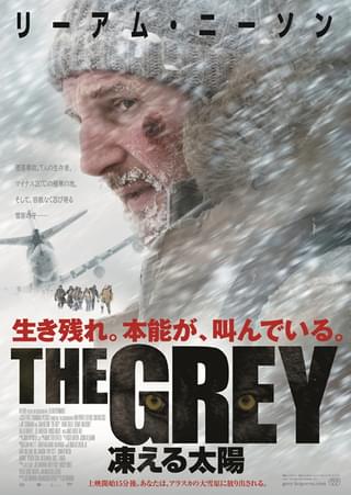 THE GREY 凍える太陽